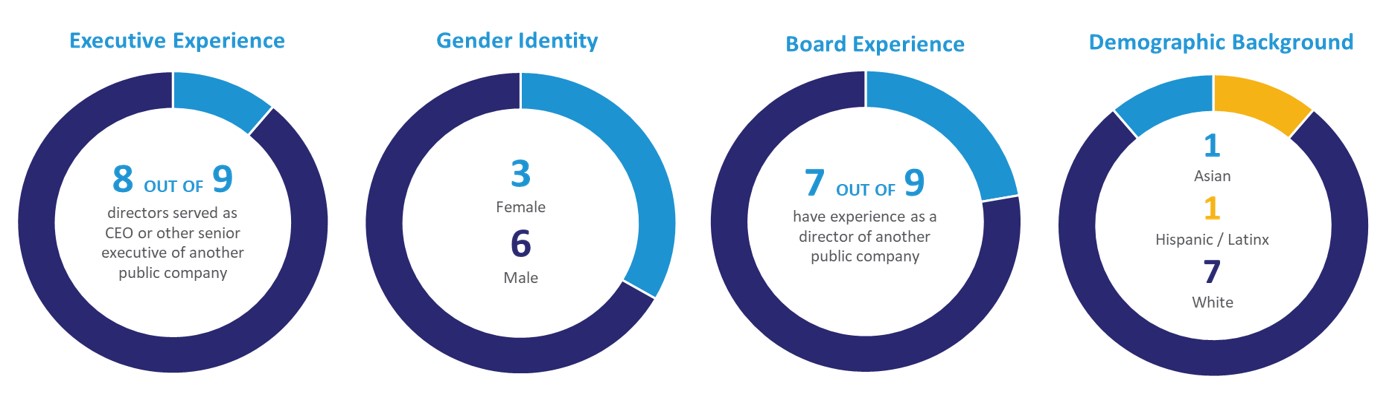 Board Diversity Pie Charts.jpg