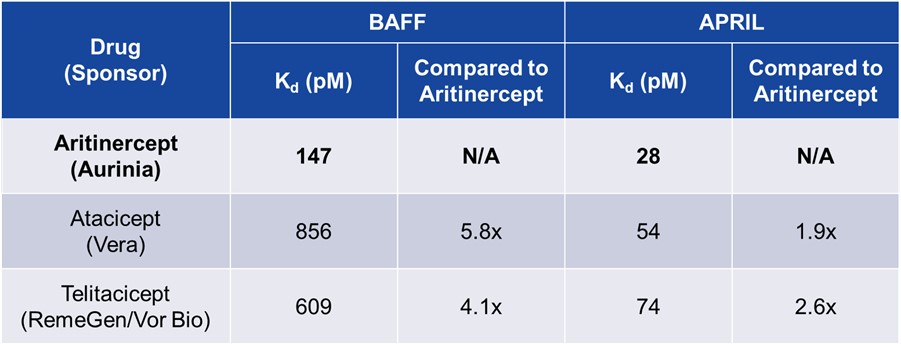 Picture14 BAFF_APRIL.jpg