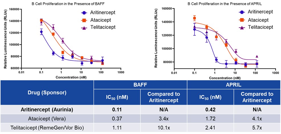 Picture15 Aritinercept BAFF_APRIL.jpg