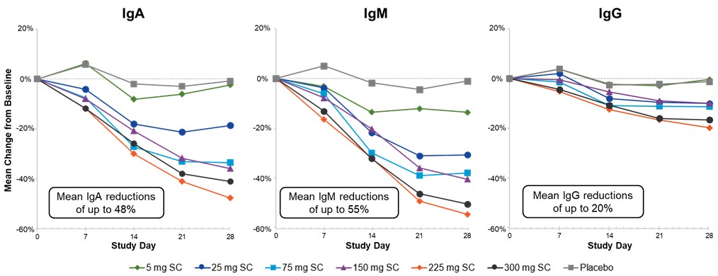 Picture17 Aritinercept SAD Study.jpg
