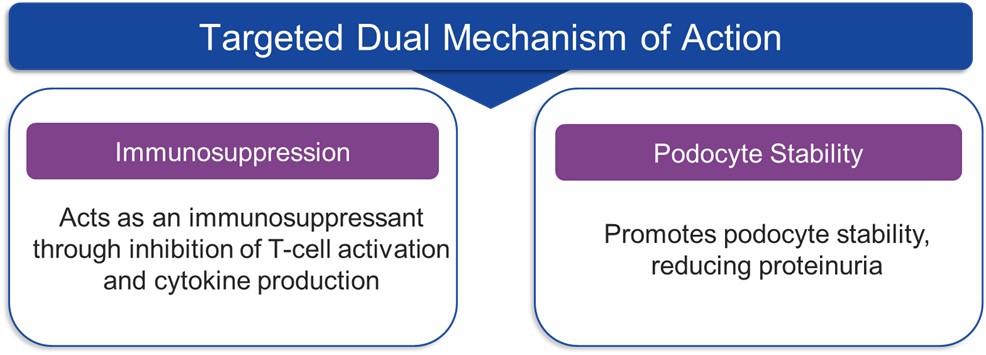 Picture5 LUPKYNIS Targets.jpg