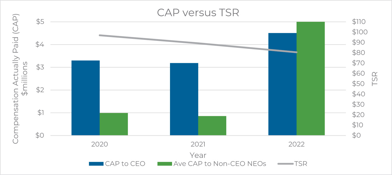 [MISSING IMAGE: bc_capvstsr-pn.jpg]