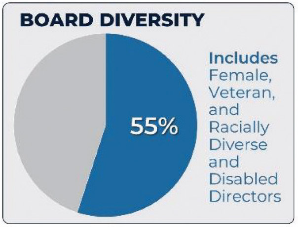 [MISSING IMAGE: pc_boarddiversity-4clr.jpg]