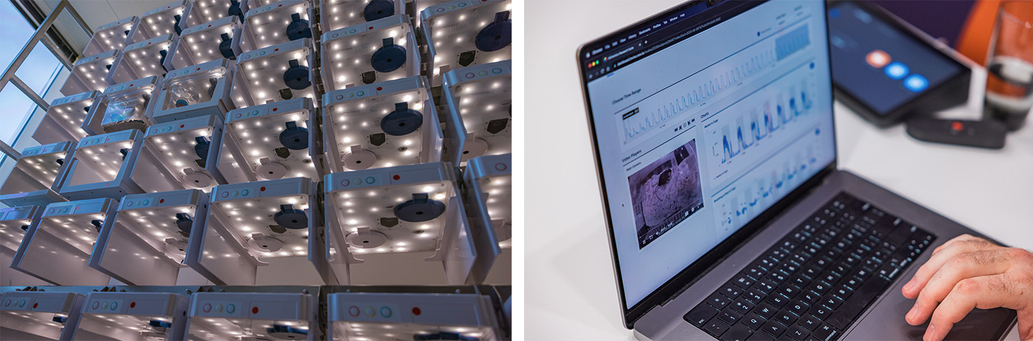 fig 18_invivomics pics.jpg