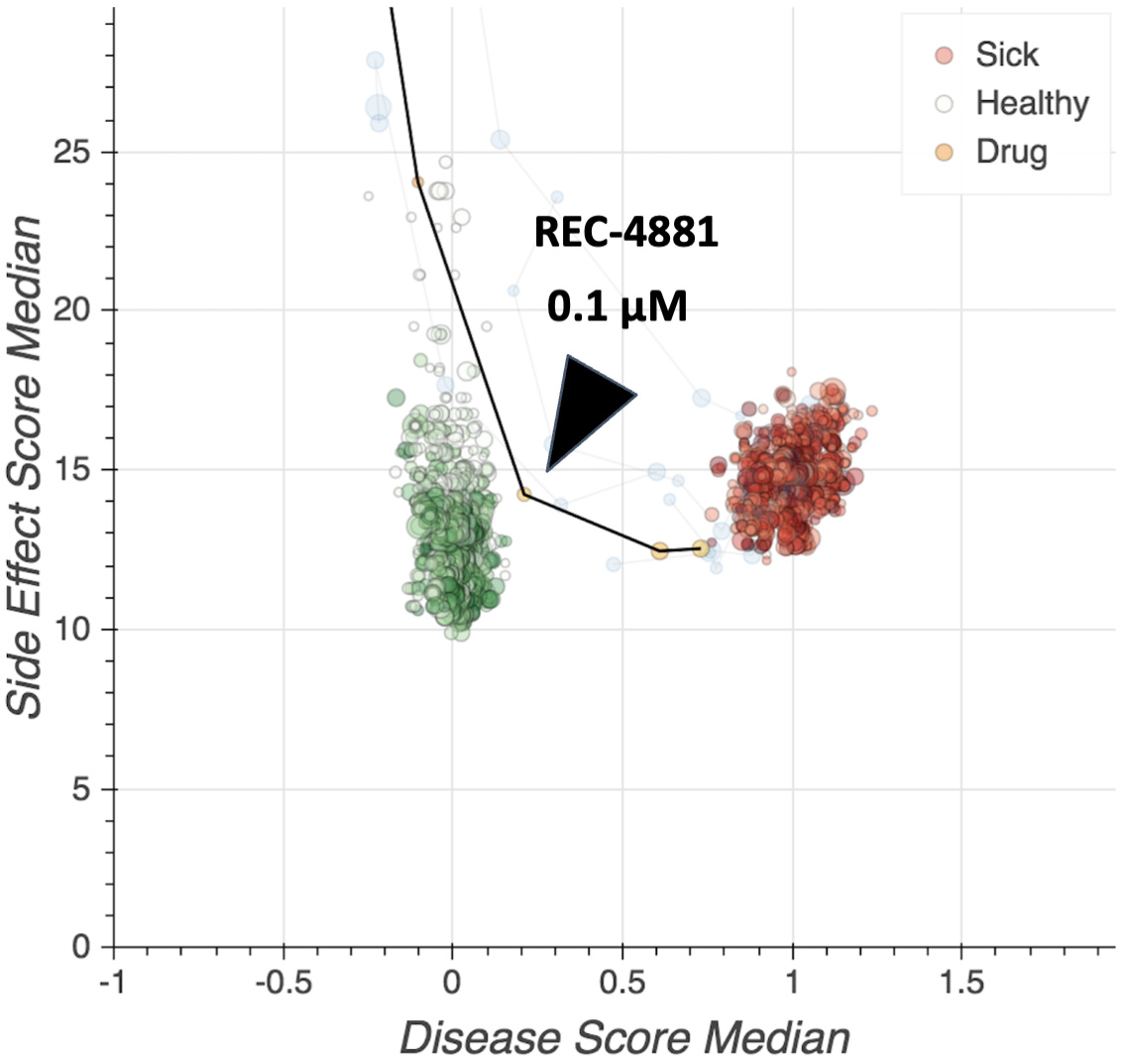 fig 44_REC-4881 rescued APC knockdown.jpg