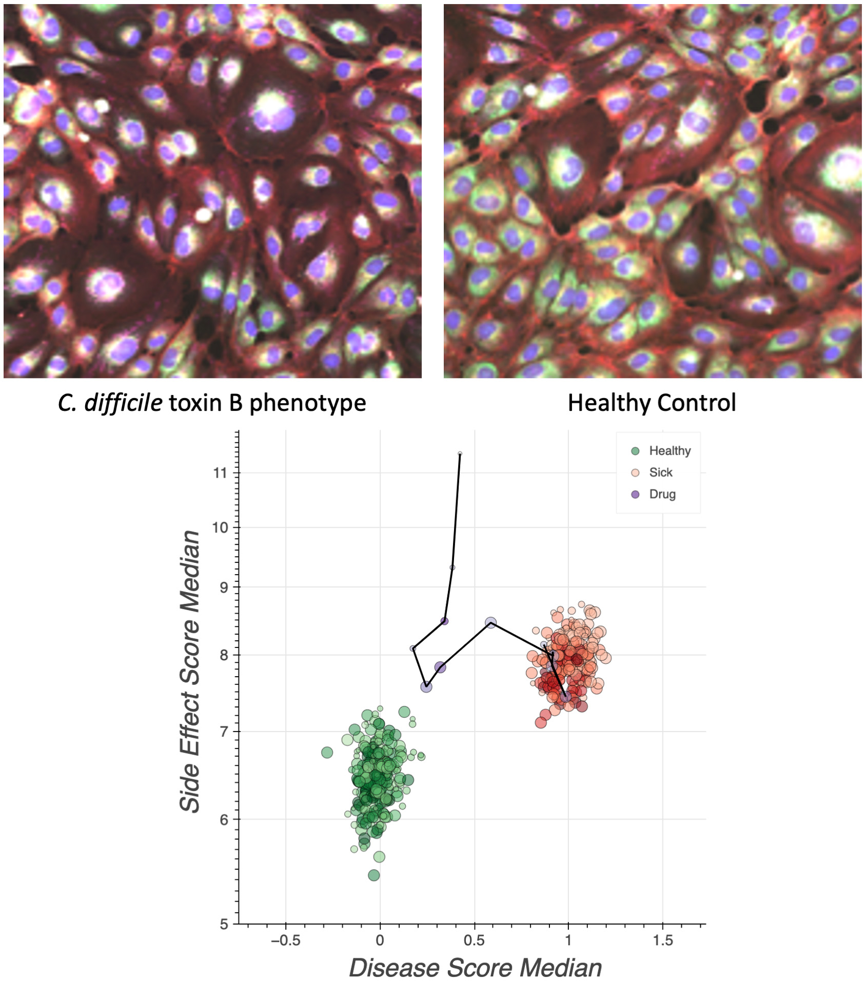 fig 51_REC-3964 rescued pheno.jpg