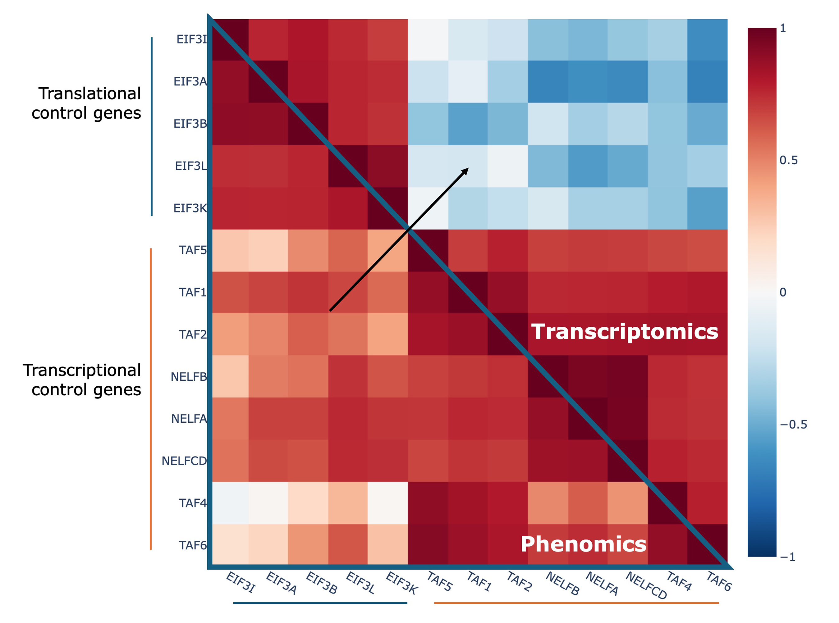 22_10k_transcriptomics_figure.jpg