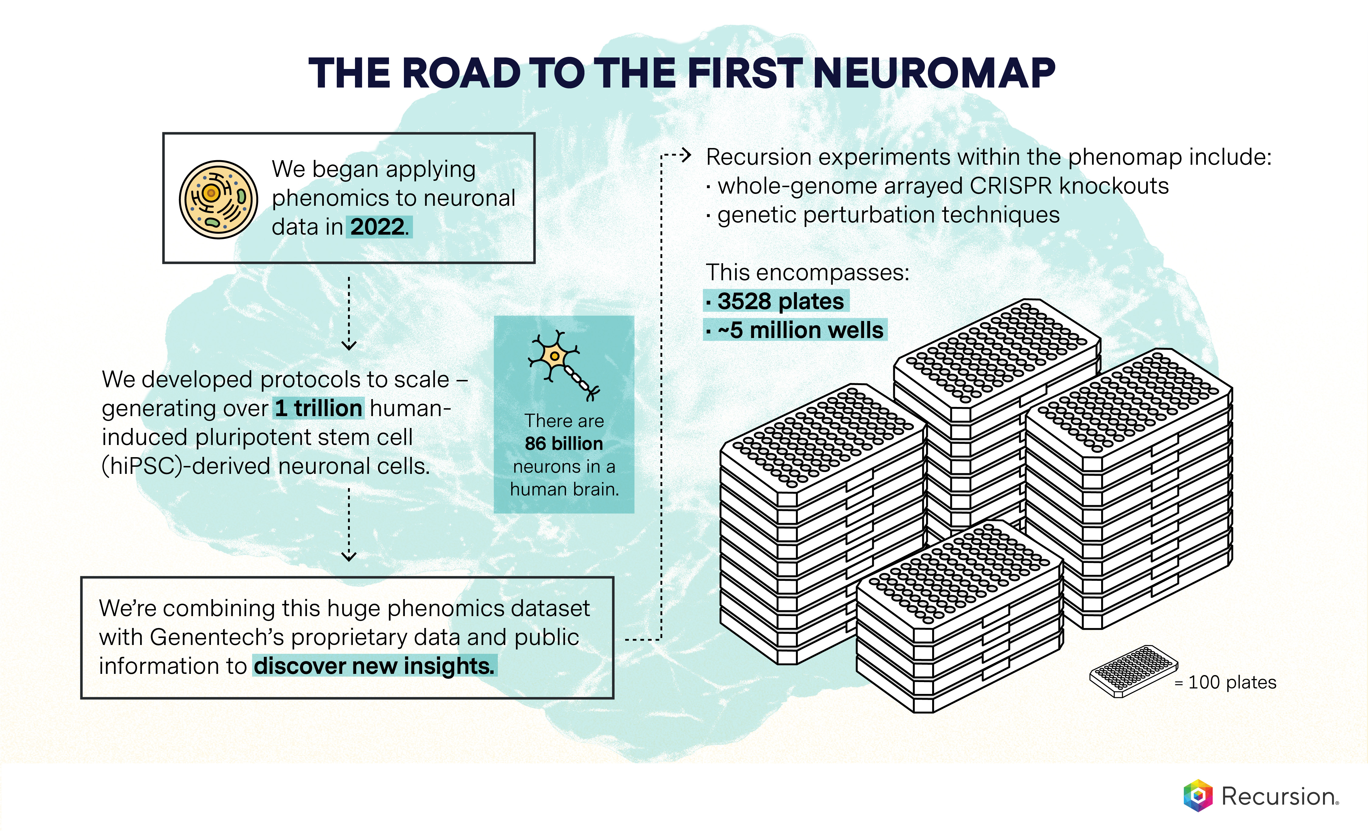 neuromap_viz final v02 copy.jpg