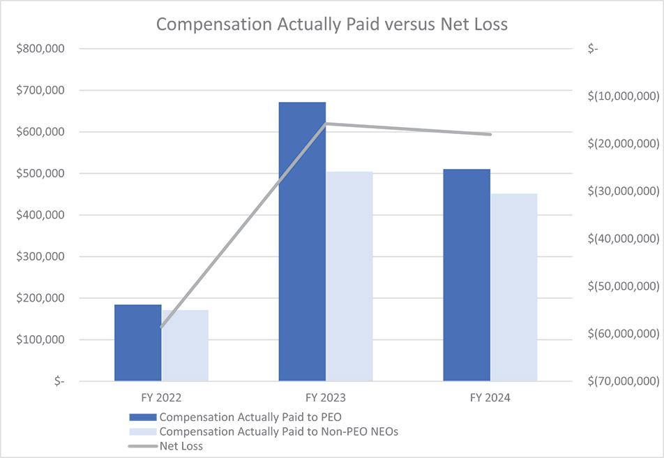 [MISSING IMAGE: bc_netloss-4c.jpg]