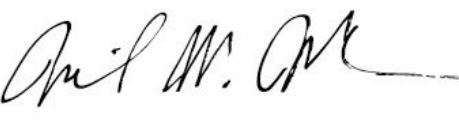 McCann Signature.jpg