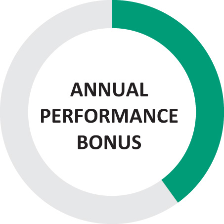 [MISSING IMAGE: bc_annual-pn.jpg]