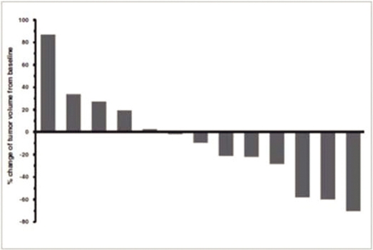 GRAPHIC
