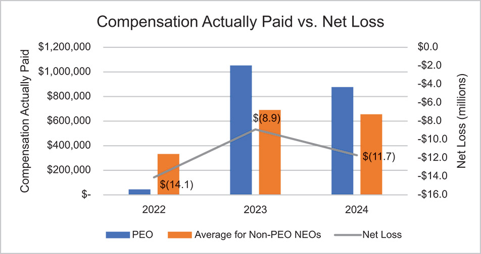 [MISSING IMAGE: bc_netloss-4c.jpg]