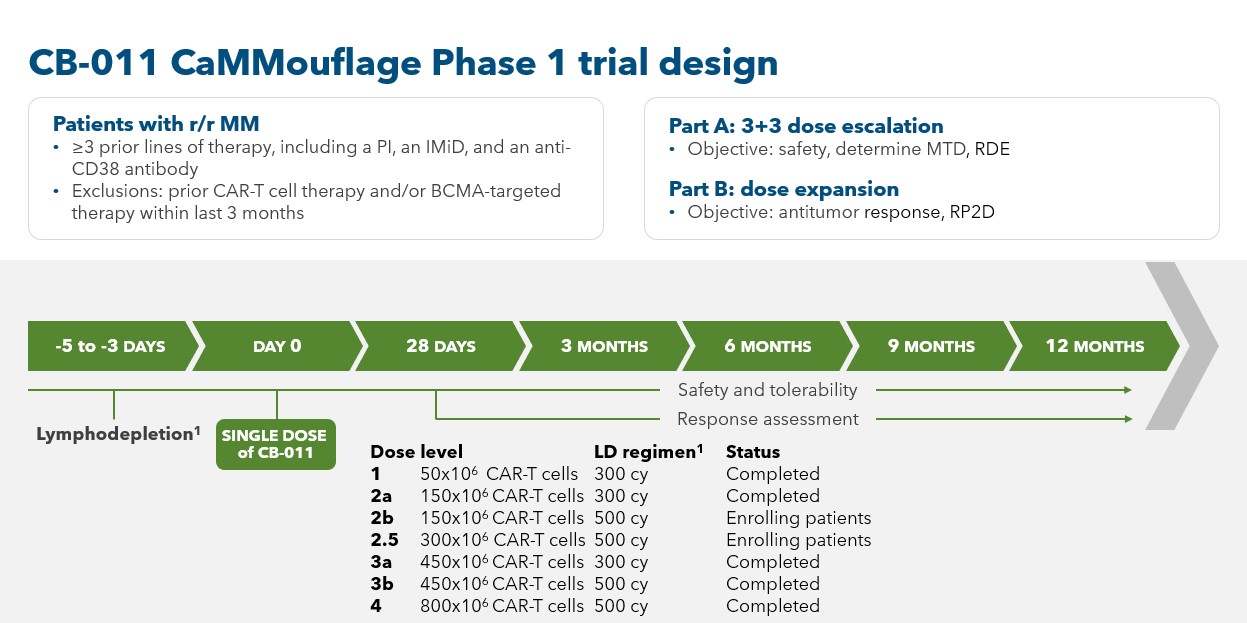 CB-011 Cammouflage.jpg