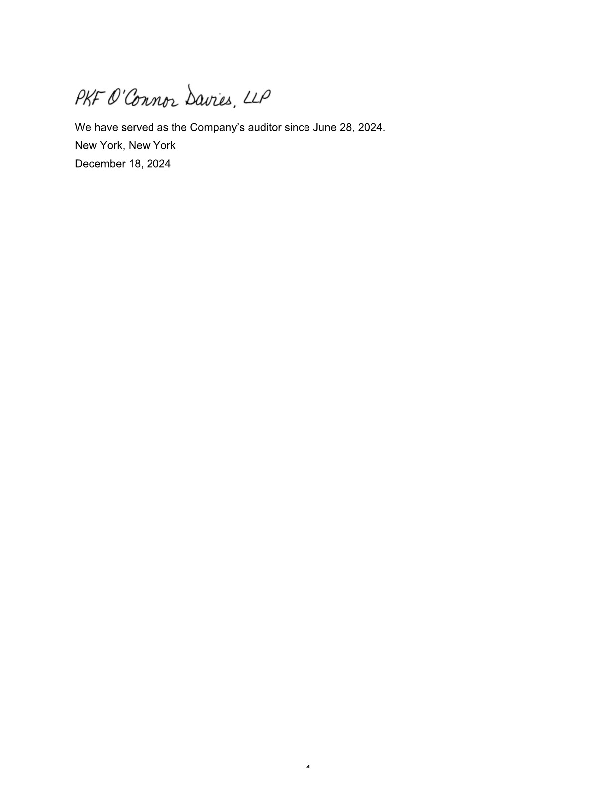 Audit report page 4.jpg