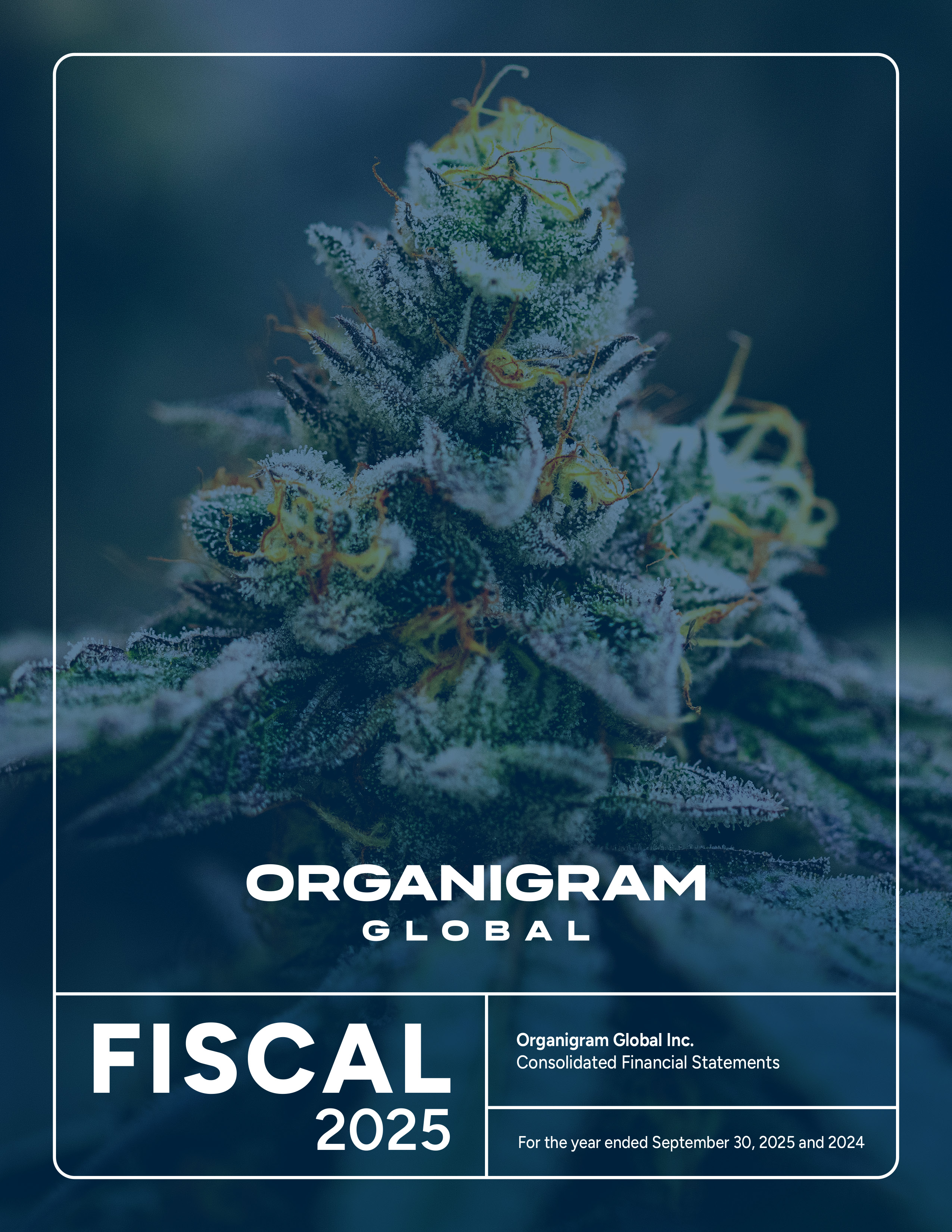 Financial_Covers_Q4_2025 1 copy.jpg