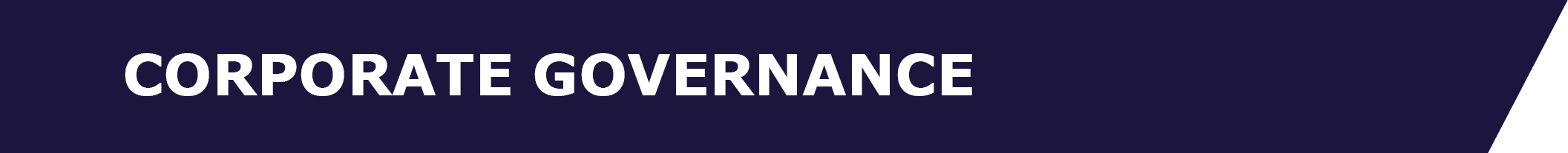 04_CWK_CORPGOV_T1 banner.jpg