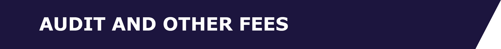 04_CWK_AUDIT_T1 banner.jpg