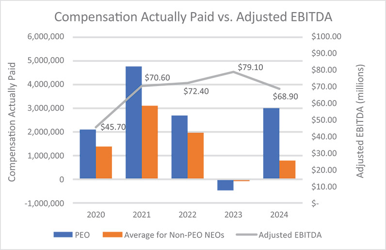 [MISSING IMAGE: bc_apvsadjebitda-4c.jpg]