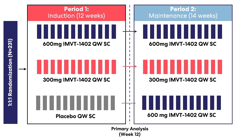 IMVT-1402 MG Potentially Registrational Trial Design.jpg