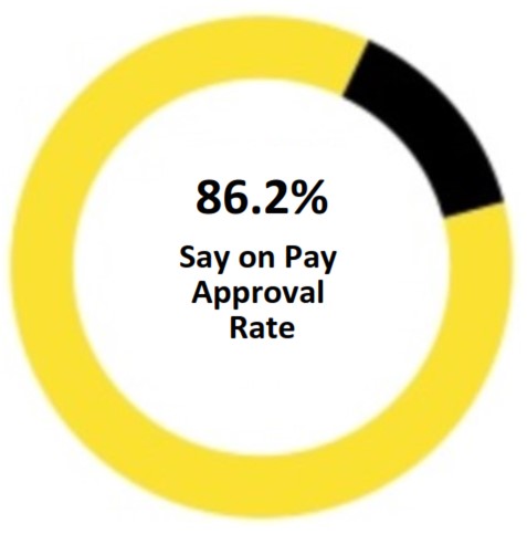 Updated Say on Pay Donut.jpg
