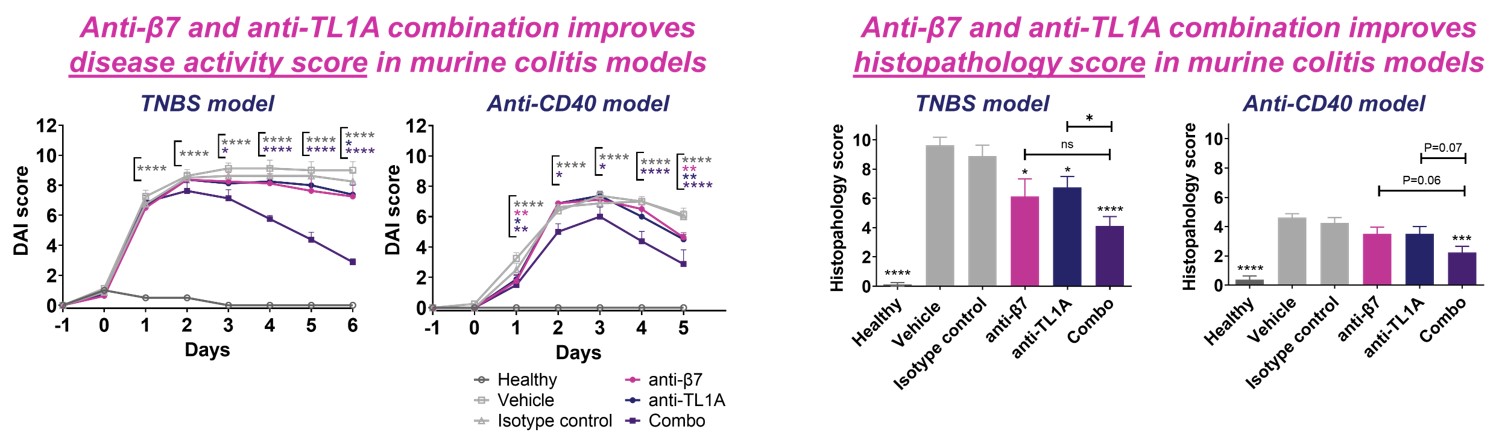 FG 9. SPY120 Mouse model.jpg