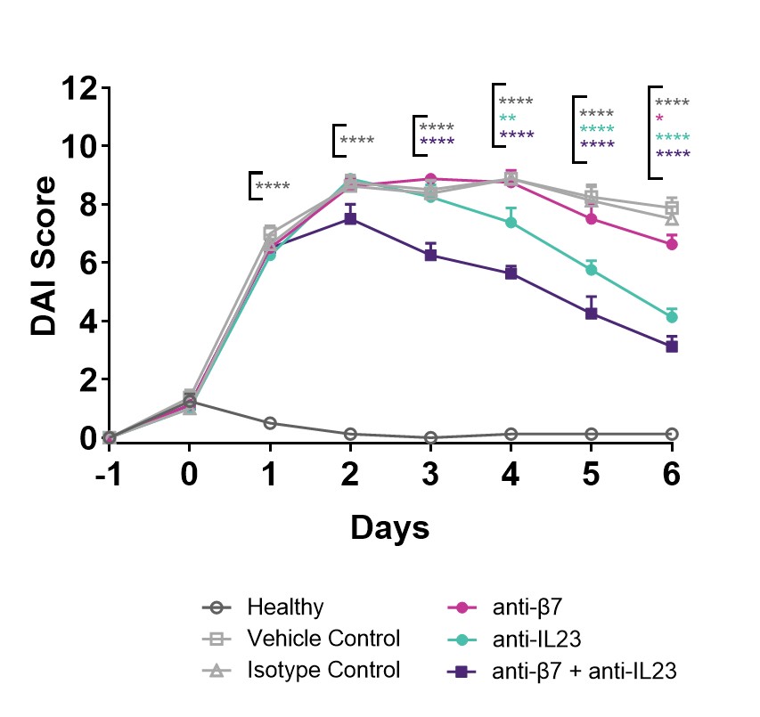 SPY130 TNBS model.jpg