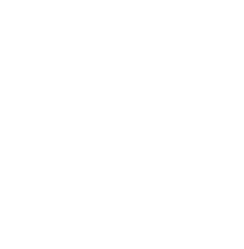 winter-snowflake_white.gif