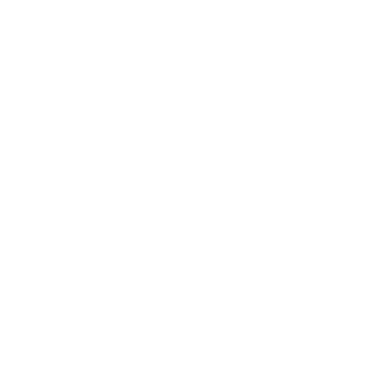 summer-sun_white.gif