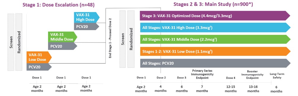VAX-31 infant phase 2 .jpg