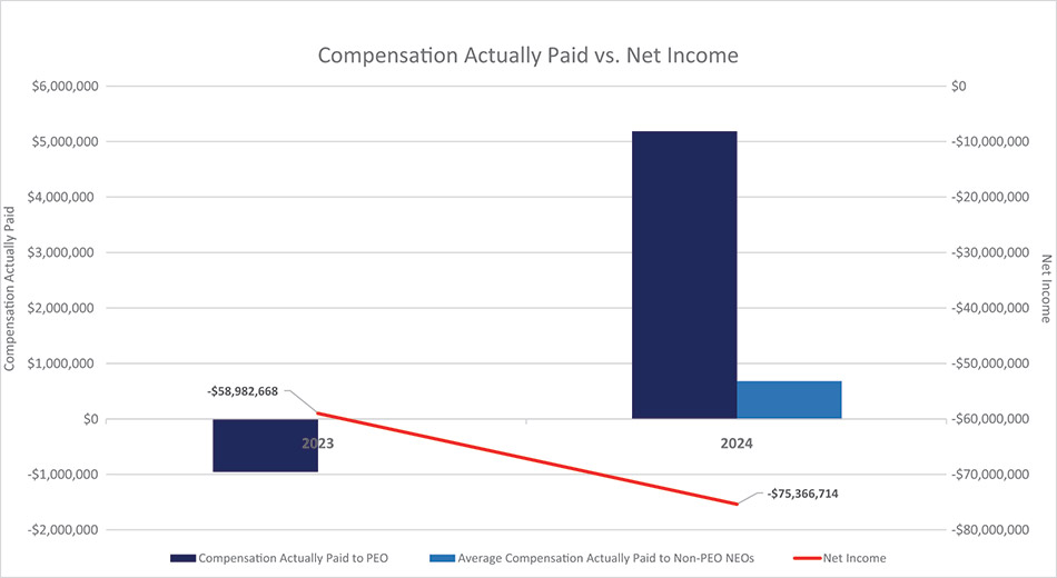 [MISSING IMAGE: bc_netincome-4c.jpg]