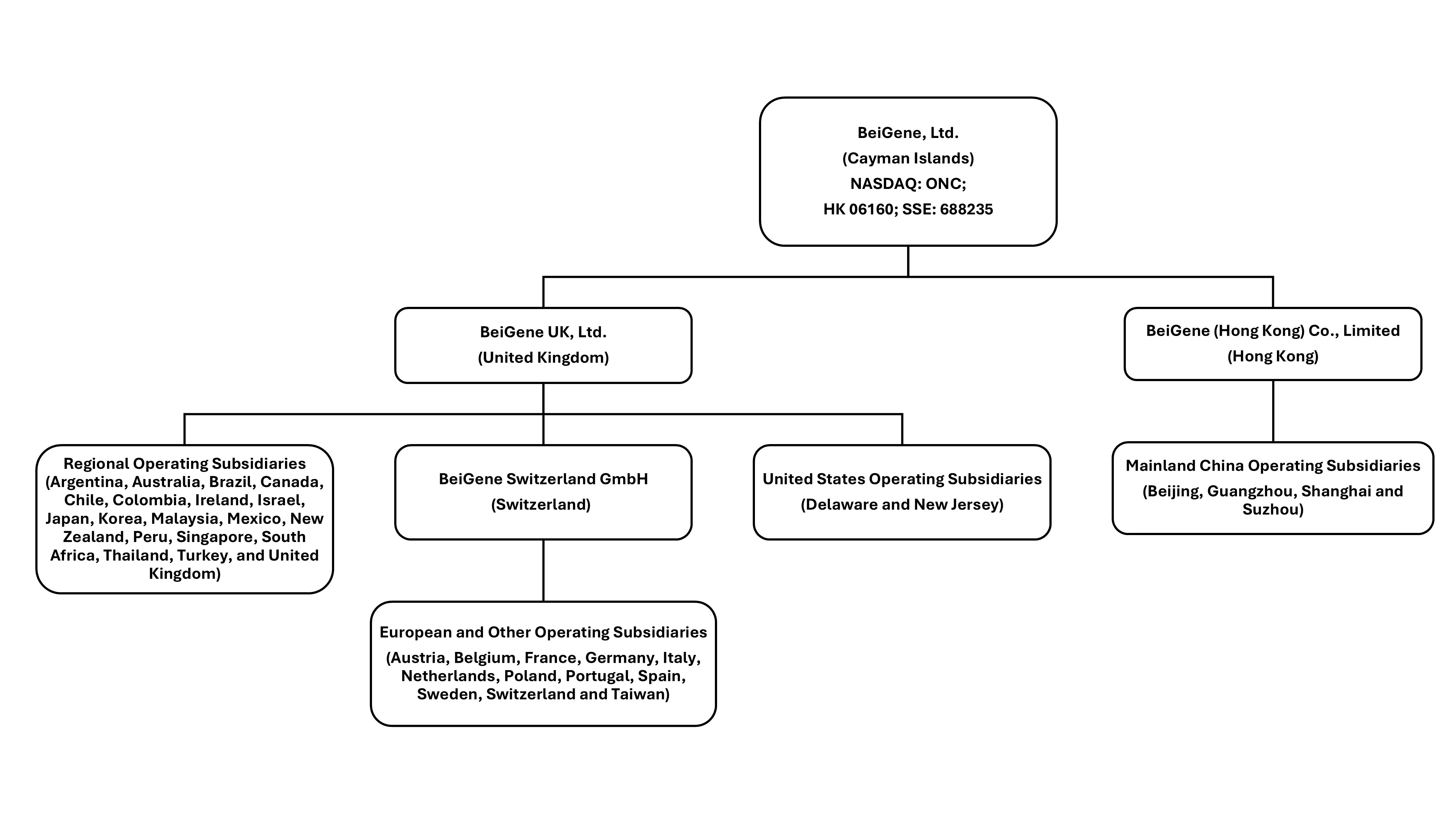 2024 10-K Holding Company Chart.jpg