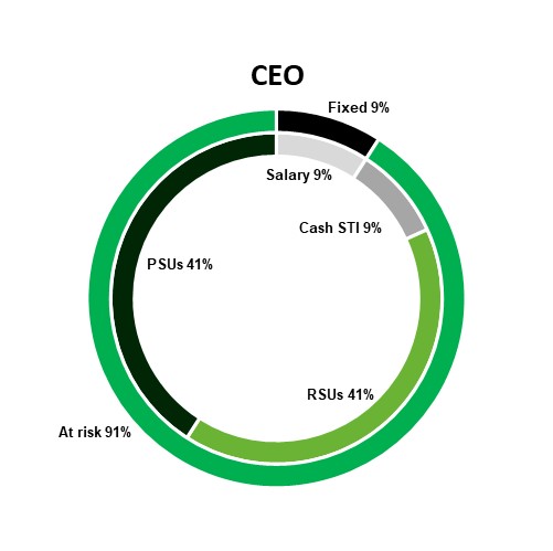 2024 CEO compensation.jpg