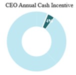 CEO Cash.jpg