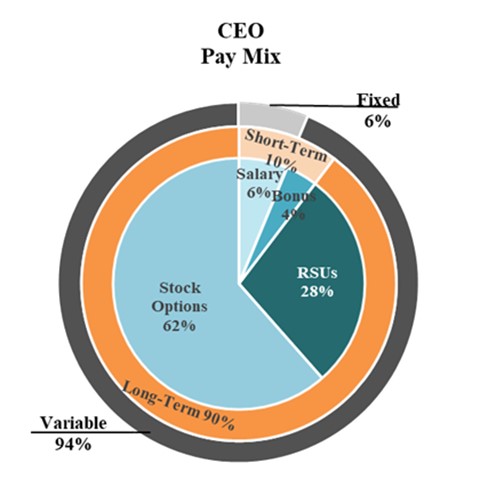 CEO Pay Mix.jpg