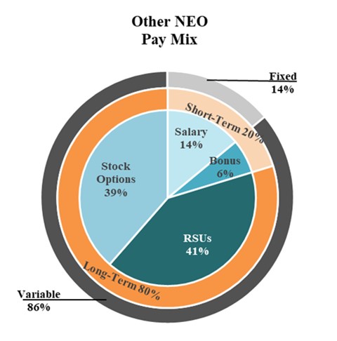 Other NEO Pay Mix.jpg