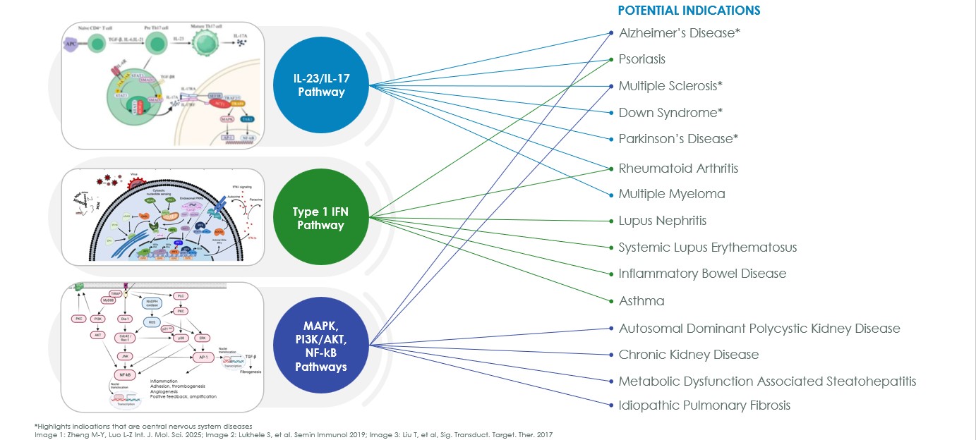 Discovery pathways.jpg