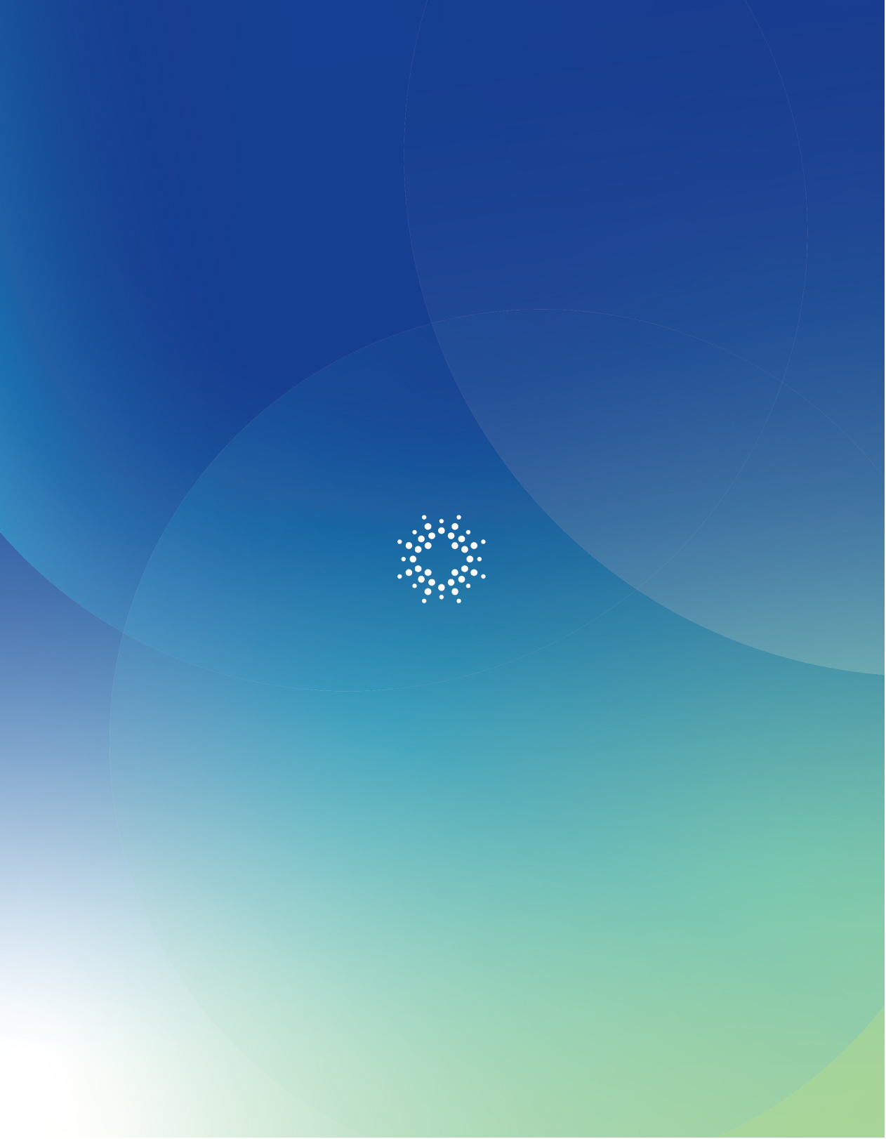 [MISSING IMAGE: tm217793d4-cov_1brigh4c.jpg]