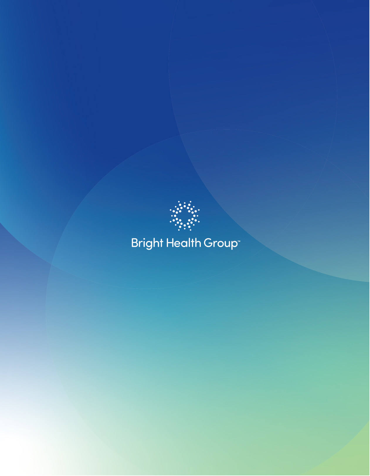 [MISSING IMAGE: tm217793d4-cov_7brigh4c.jpg]