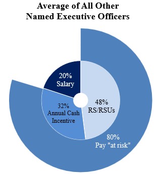 Other Execs Pay Mix Chart.jpg