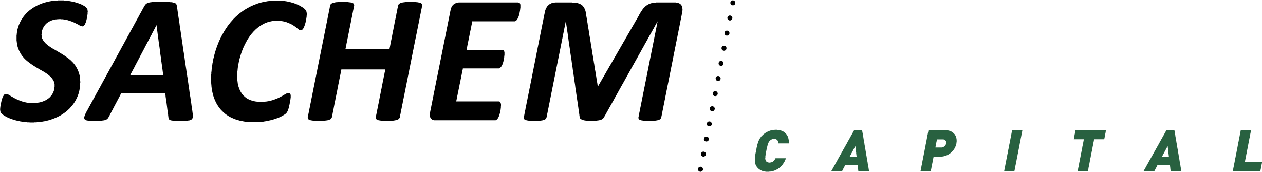 image_0a.jpg