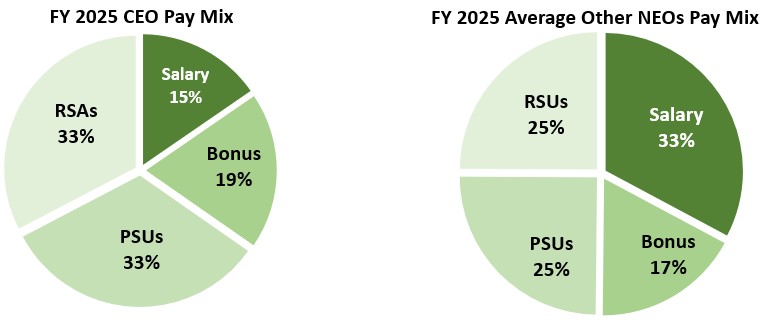 2025 CEO Pay Mix 1 - V2.jpg