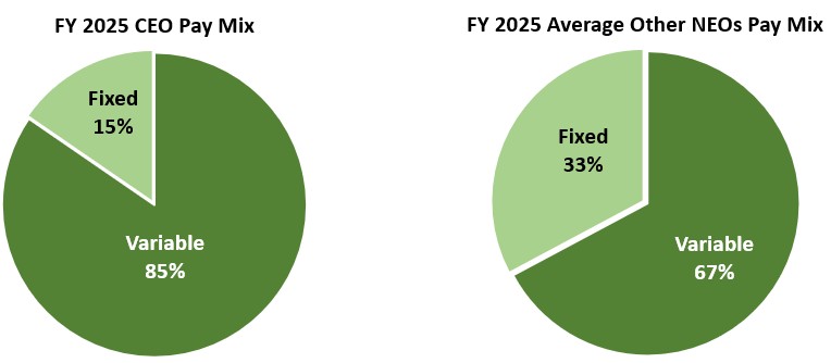 2025 CEO Pay Mix 2 - V2.jpg