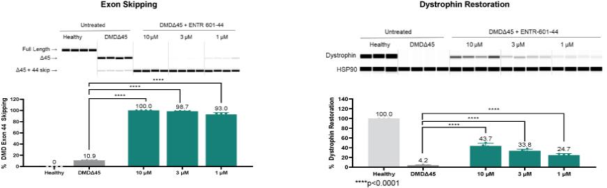 trda-20211231x10k030 - image 30.jpg