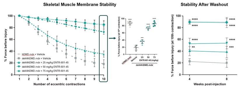 45 membrane stability after washout.jpg