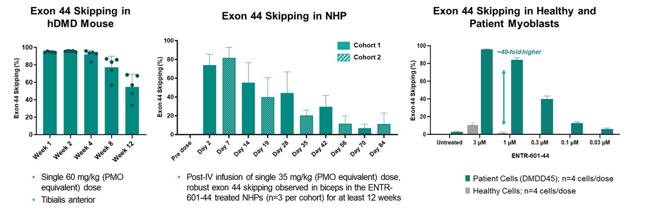 Cross Model Skipping.jpg