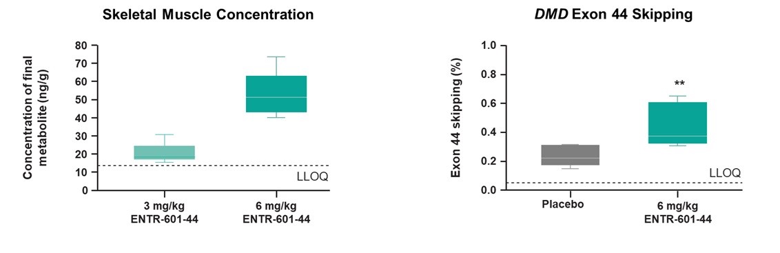 101 Concentration and skipping.jpg
