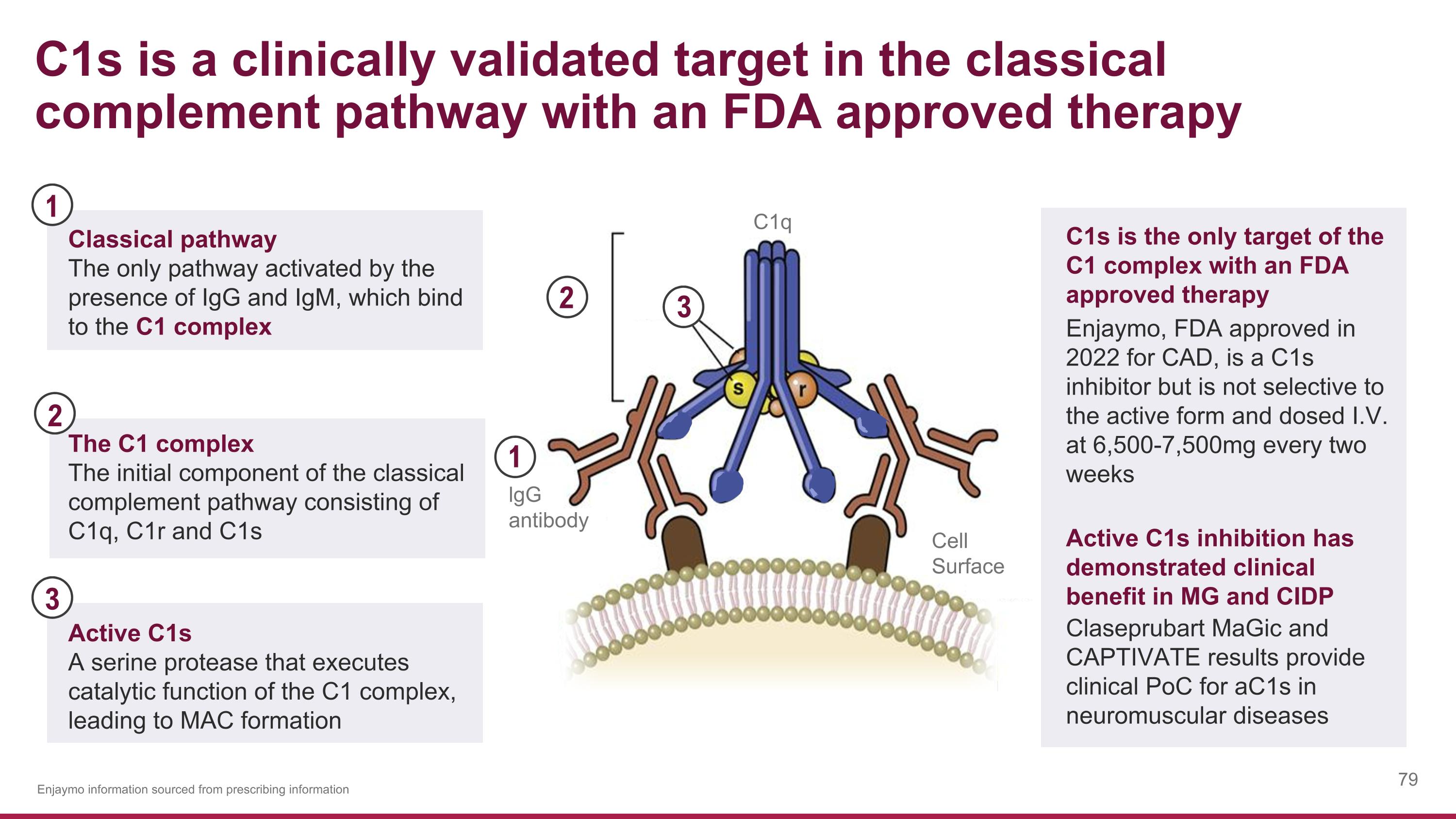 Slide 79