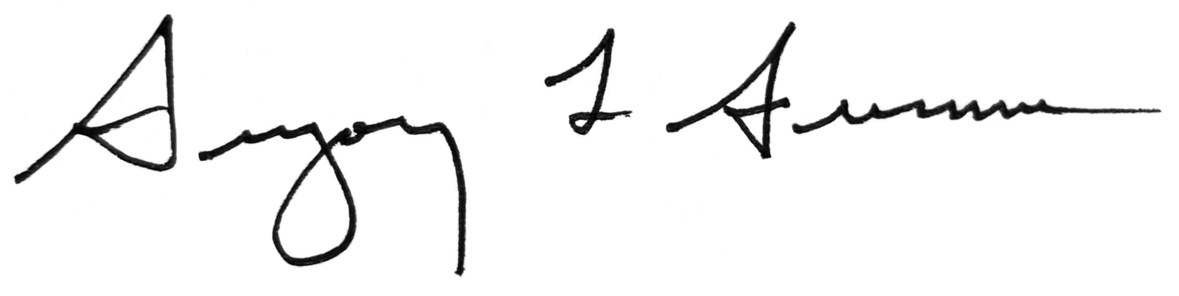 GSumme-signature-gs.jpg