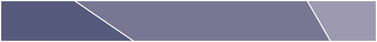 [MISSING IMAGE: bc_left-pn.jpg]